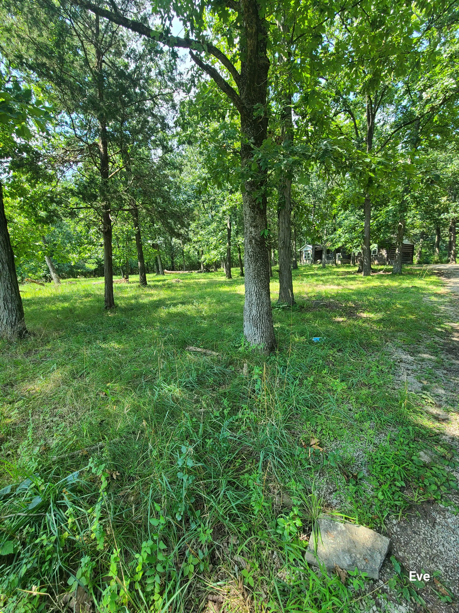 4046 Murfreesboro Pike Property Photo 9