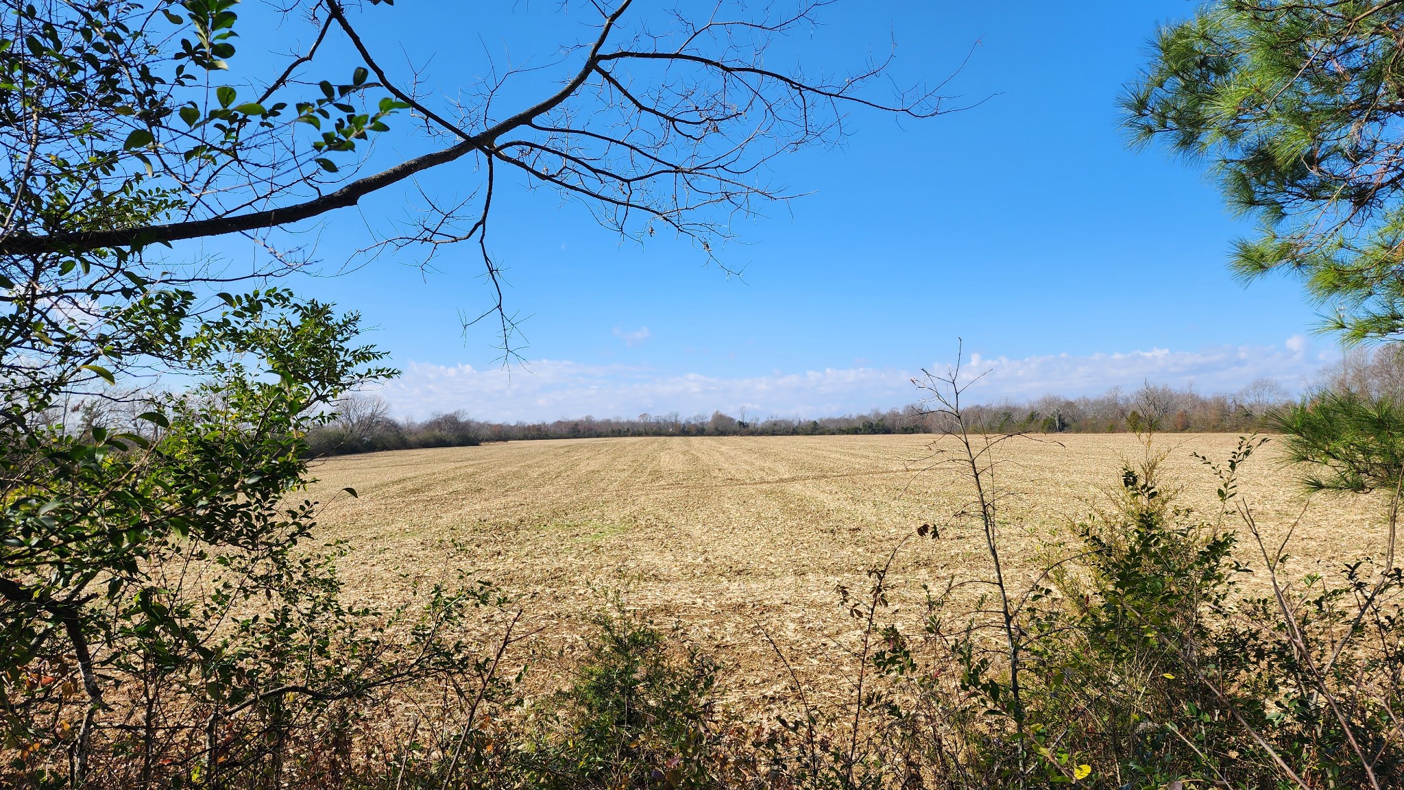 0 Twilla Lane Property Photo 2