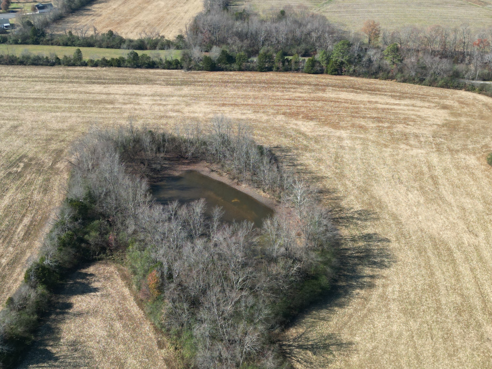 0 Twilla Lane Property Photo 15