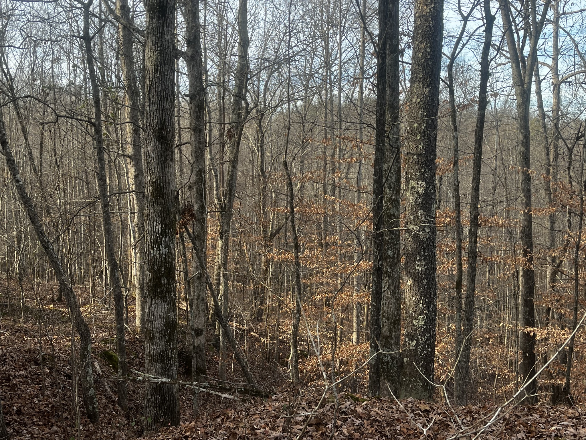 1 Old State Hwy 69 Property Photo 6