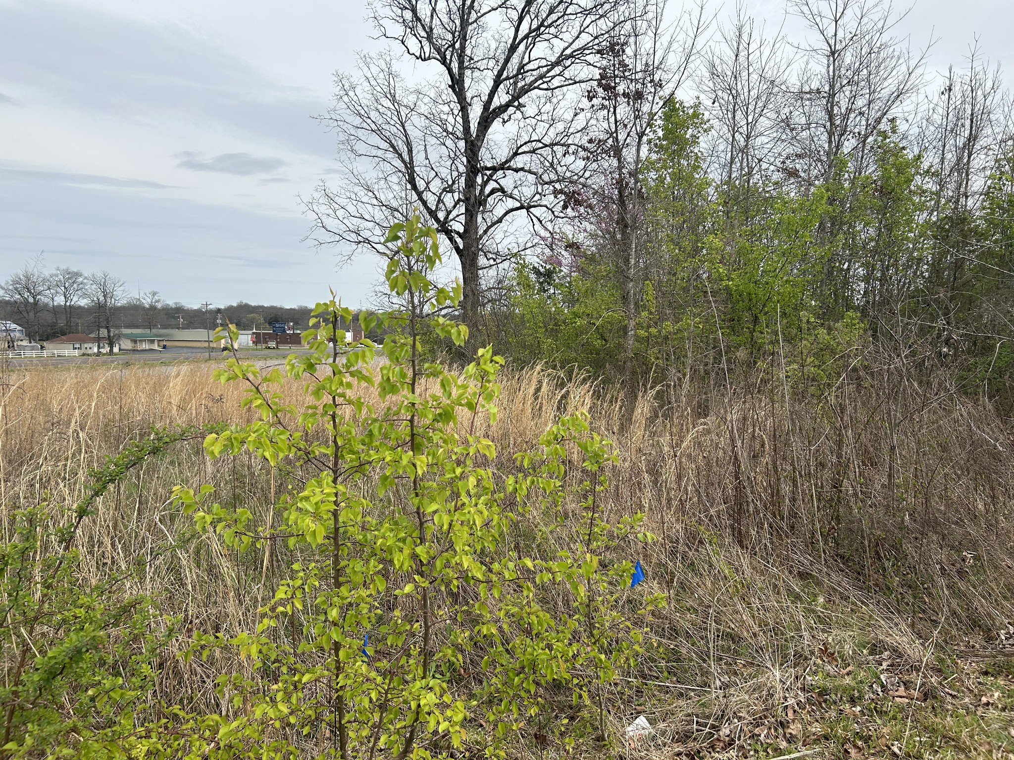 605 S Wall St Property Photo 1