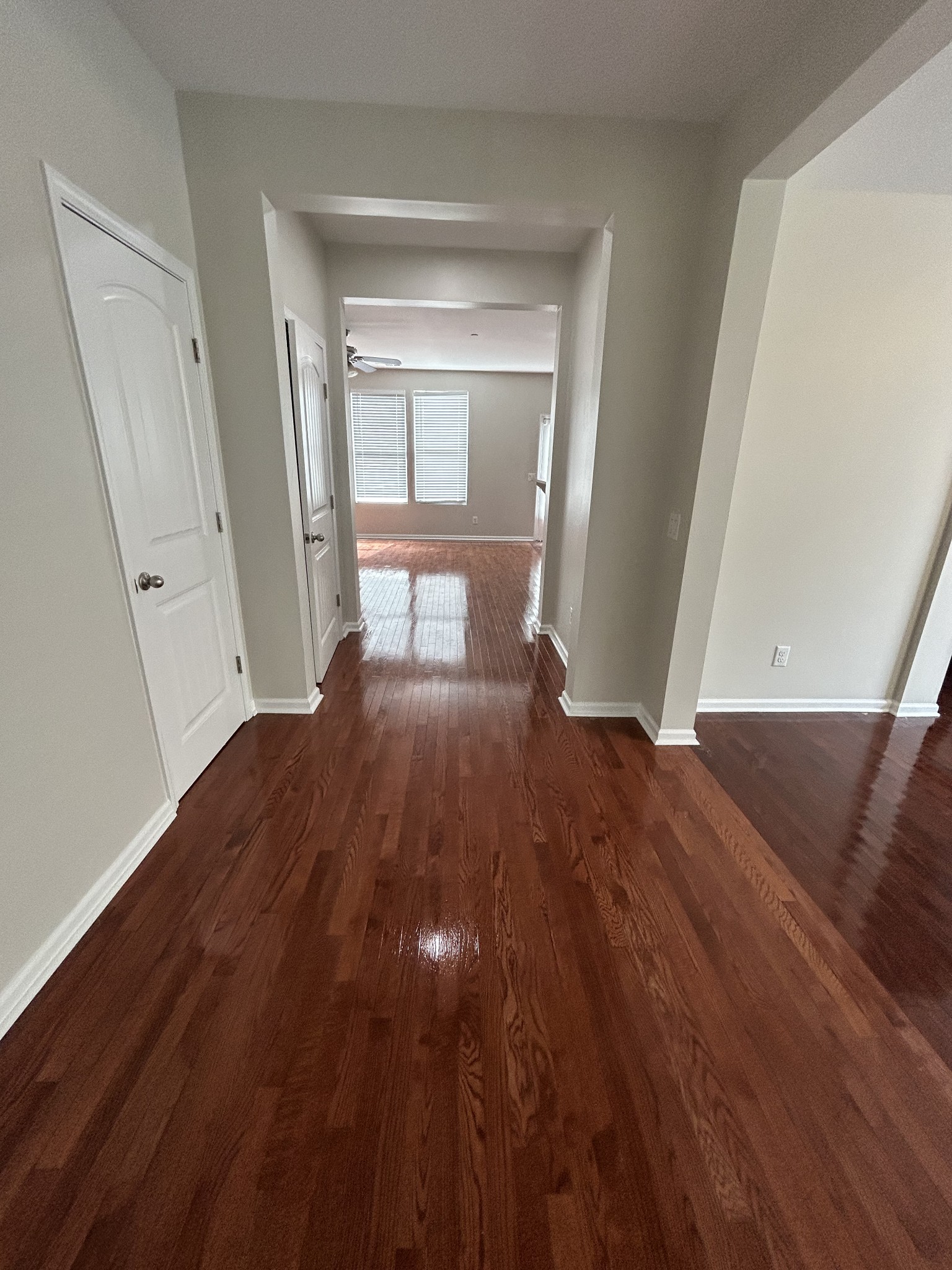 1856 Looking Glass Ln Property Photo 4