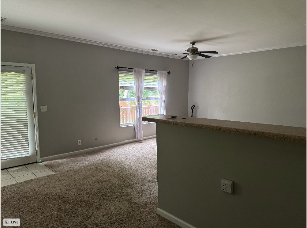 2044 Branch Oak Trl Property Photo 3