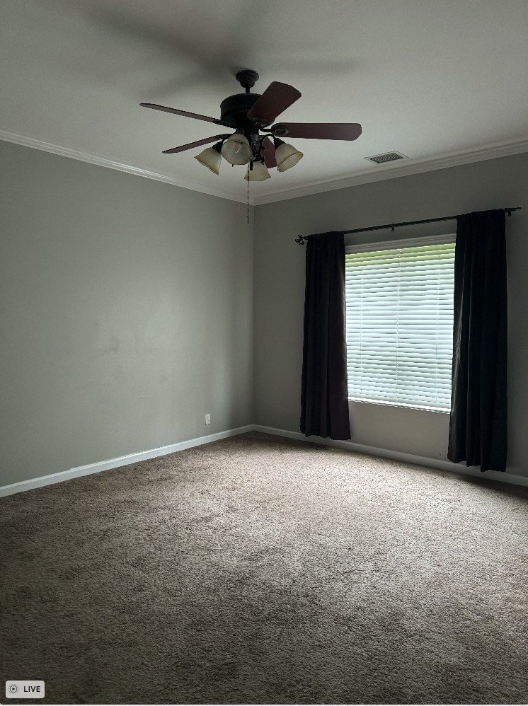 2044 Branch Oak Trl Property Photo 4
