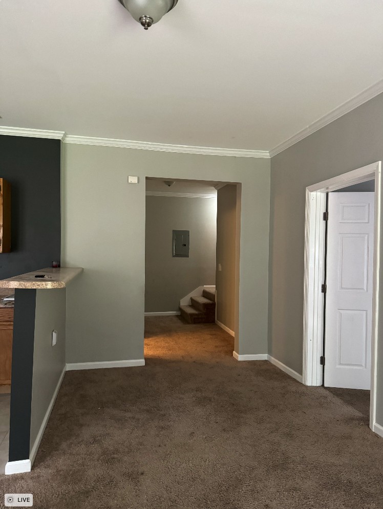 2044 Branch Oak Trl Property Photo 5