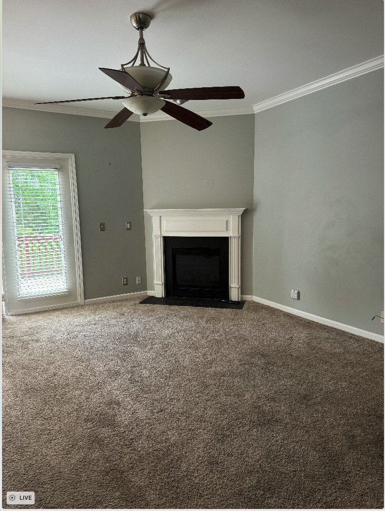 2044 Branch Oak Trl Property Photo 9