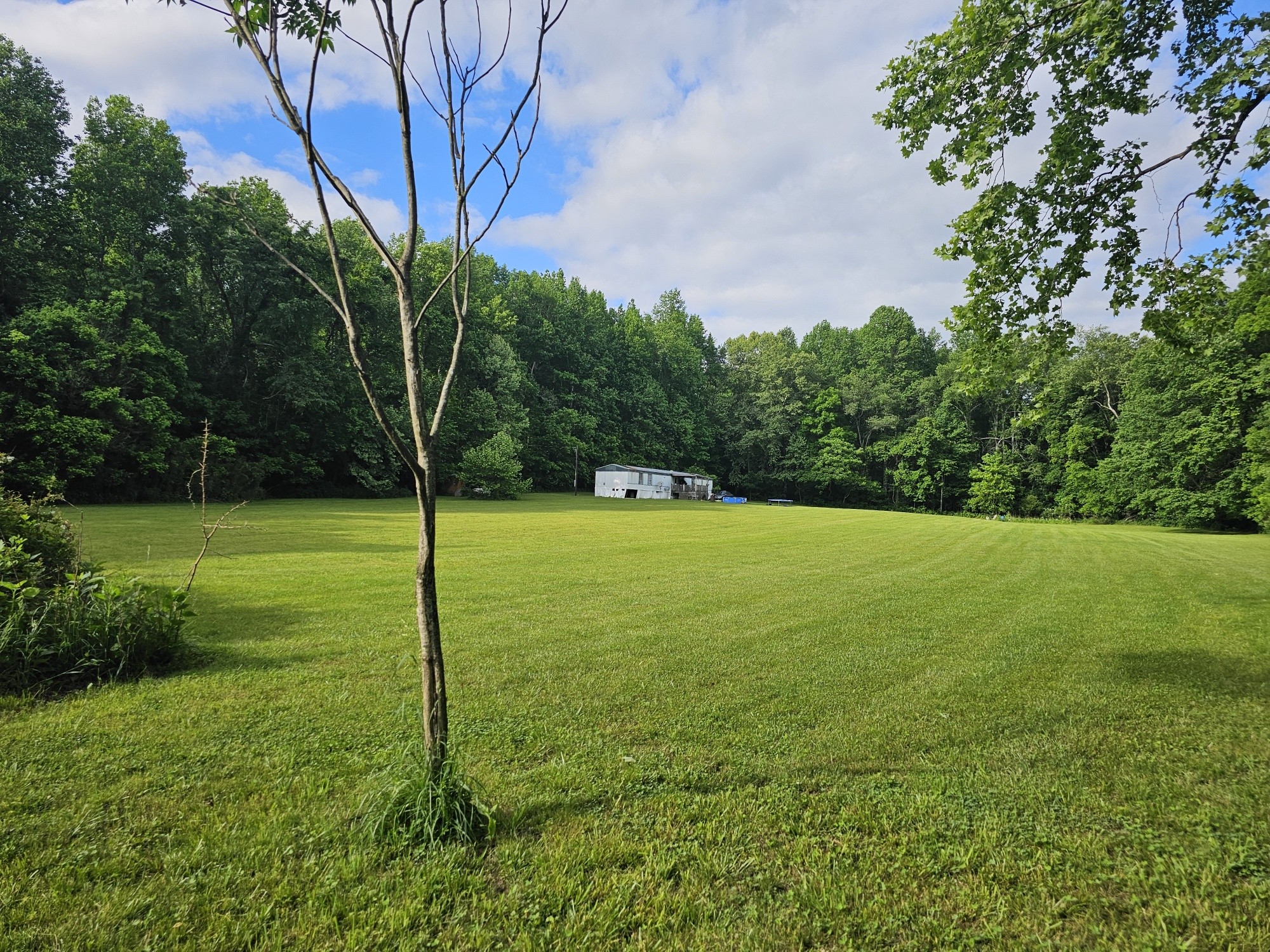1525 Wolf Branch Rd Property Photo 2