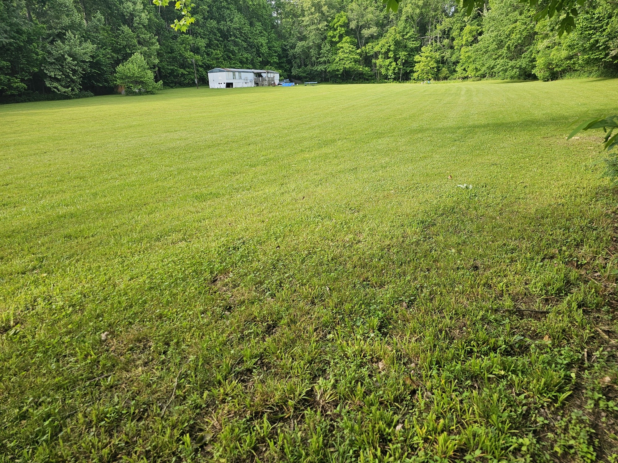 1525 Wolf Branch Rd Property Photo 4
