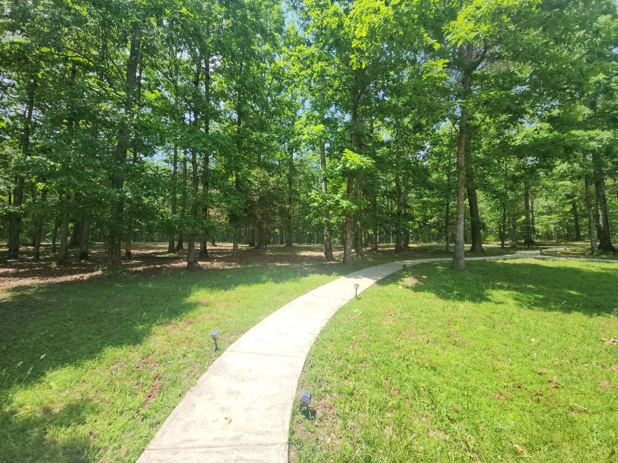 807 Timberwood Trce Property Photo 7