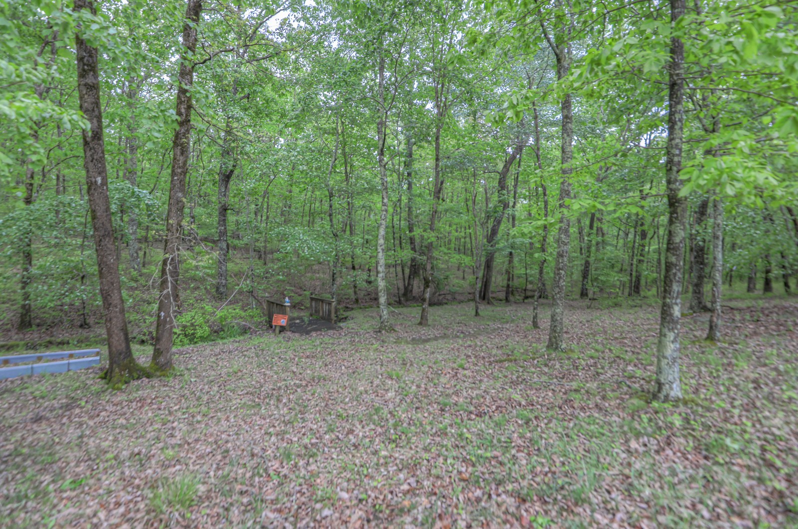 807 Timberwood Trce Property Photo 48