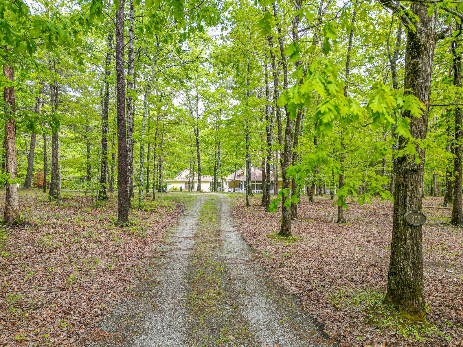 807 Timberwood Trce Property Photo 51
