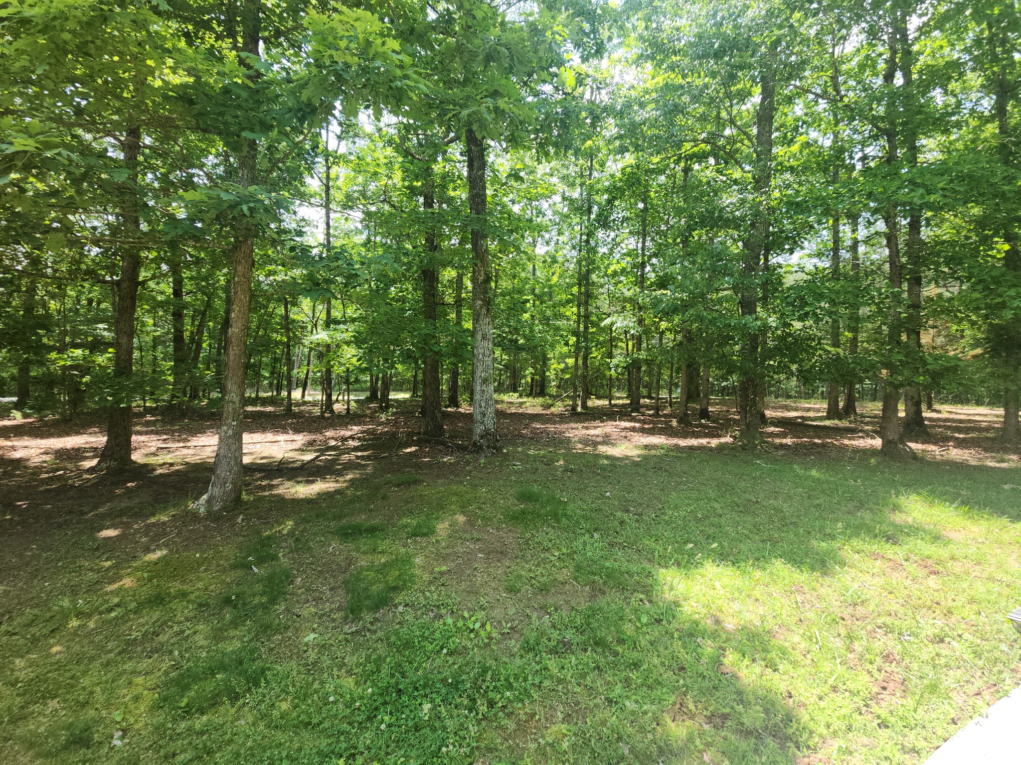 807 Timberwood Trce Property Photo 60