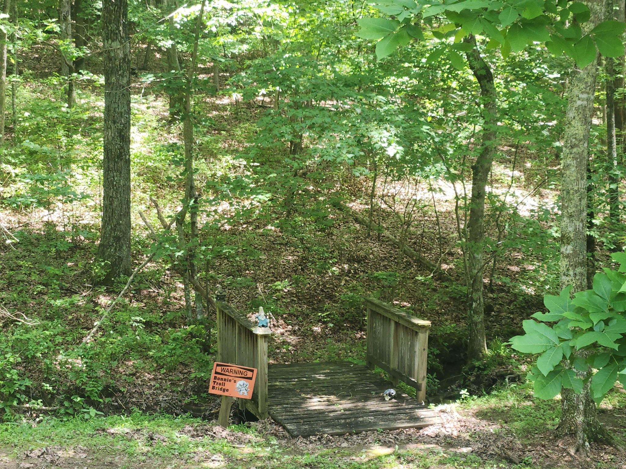 807 Timberwood Trce Property Photo 64
