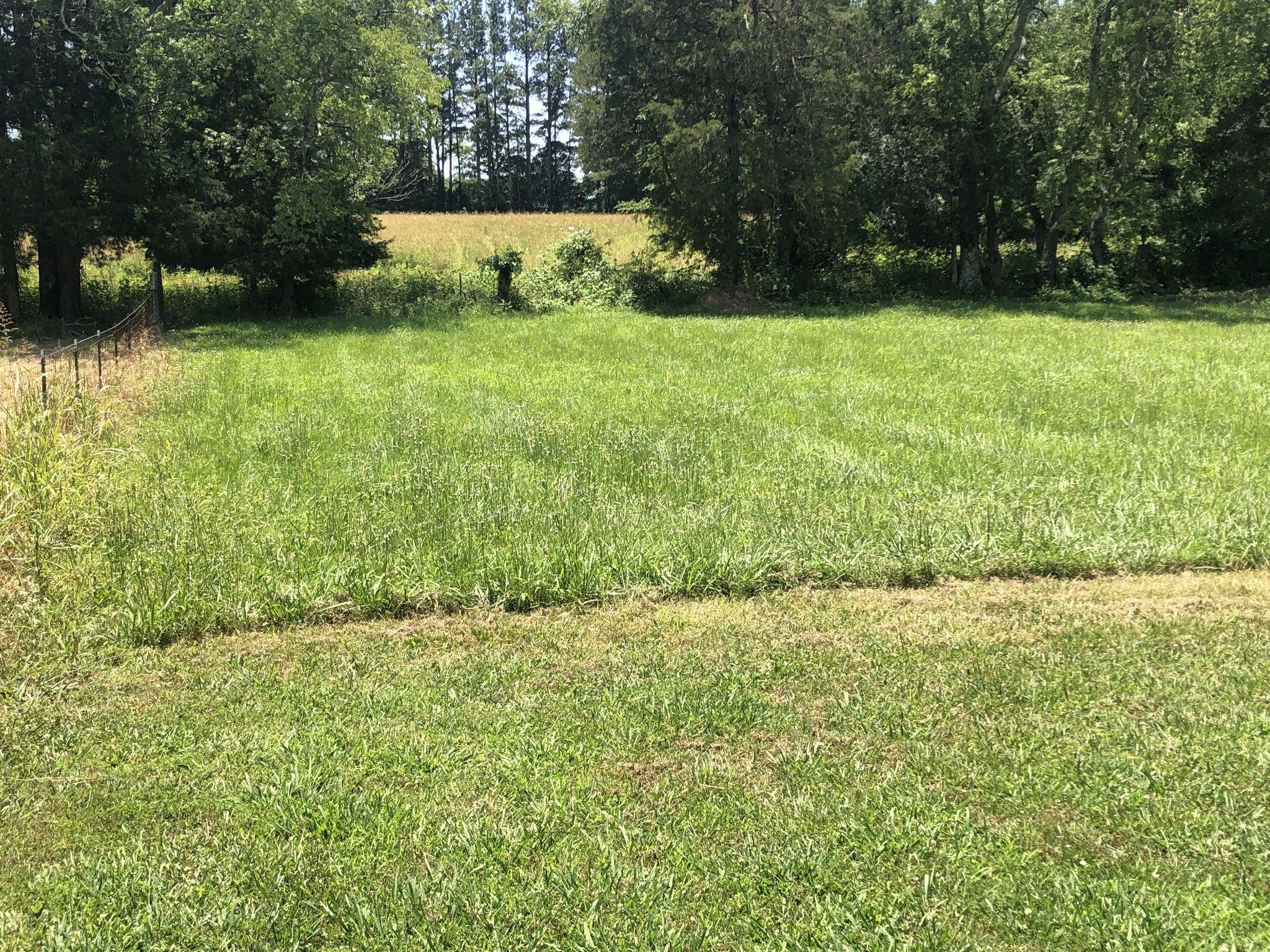 4354 Old Rome Pike Property Photo 16