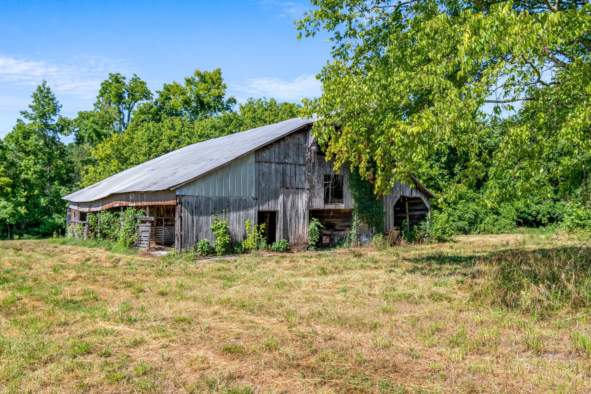4767 Peytonsville Rd Property Photo 23