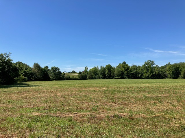 4767 Peytonsville Rd Property Photo 31