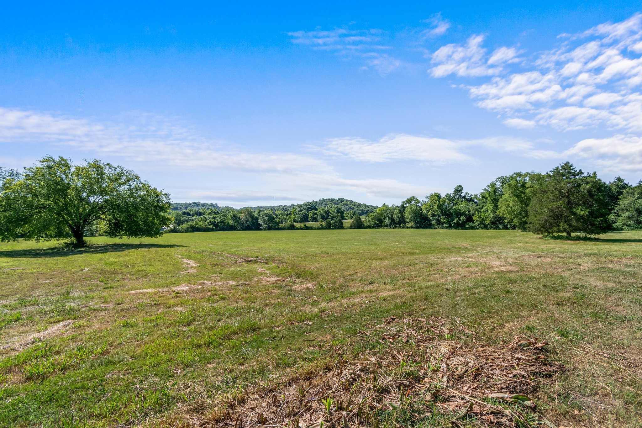 4767 Peytonsville Rd Property Photo 32