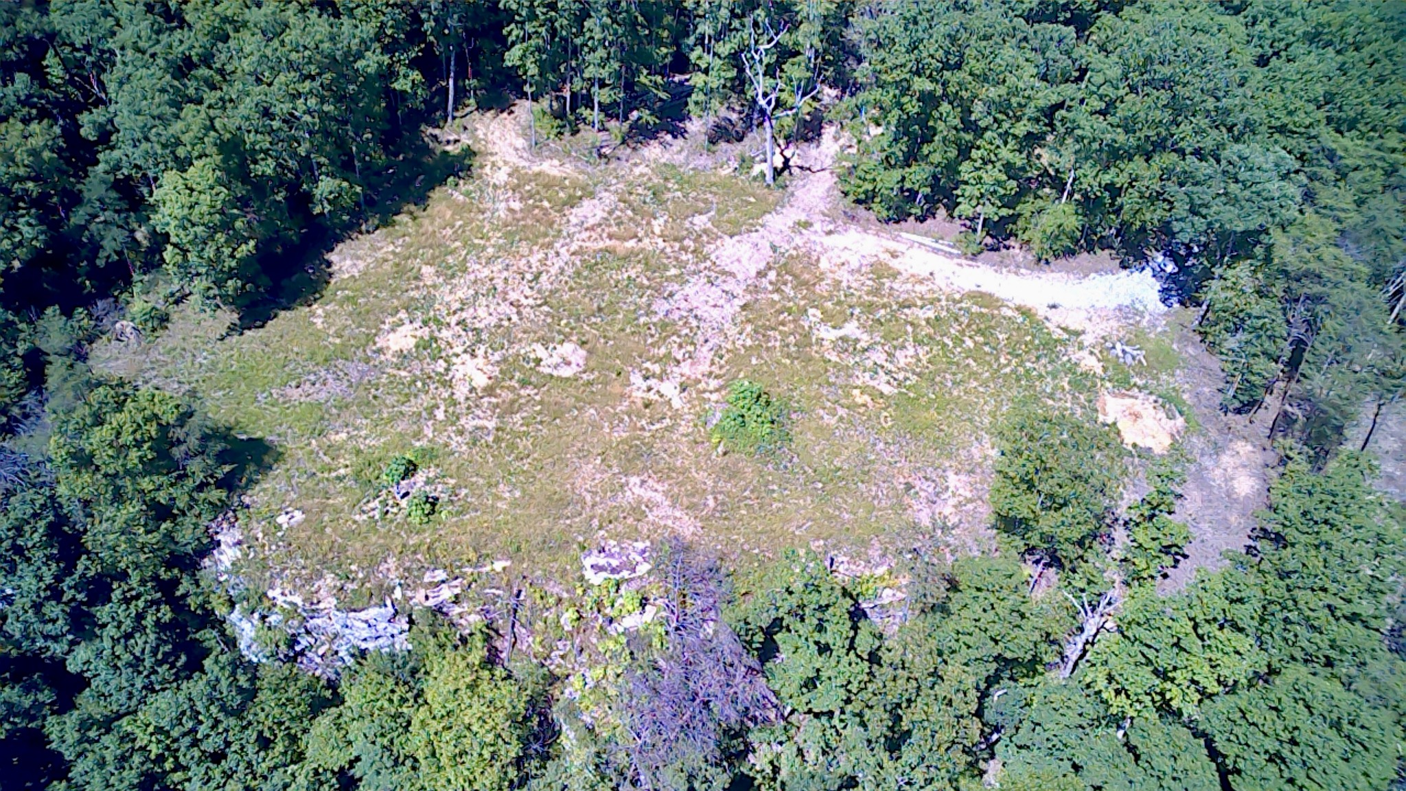 3410 Partin Farm Rd Property Photo 5