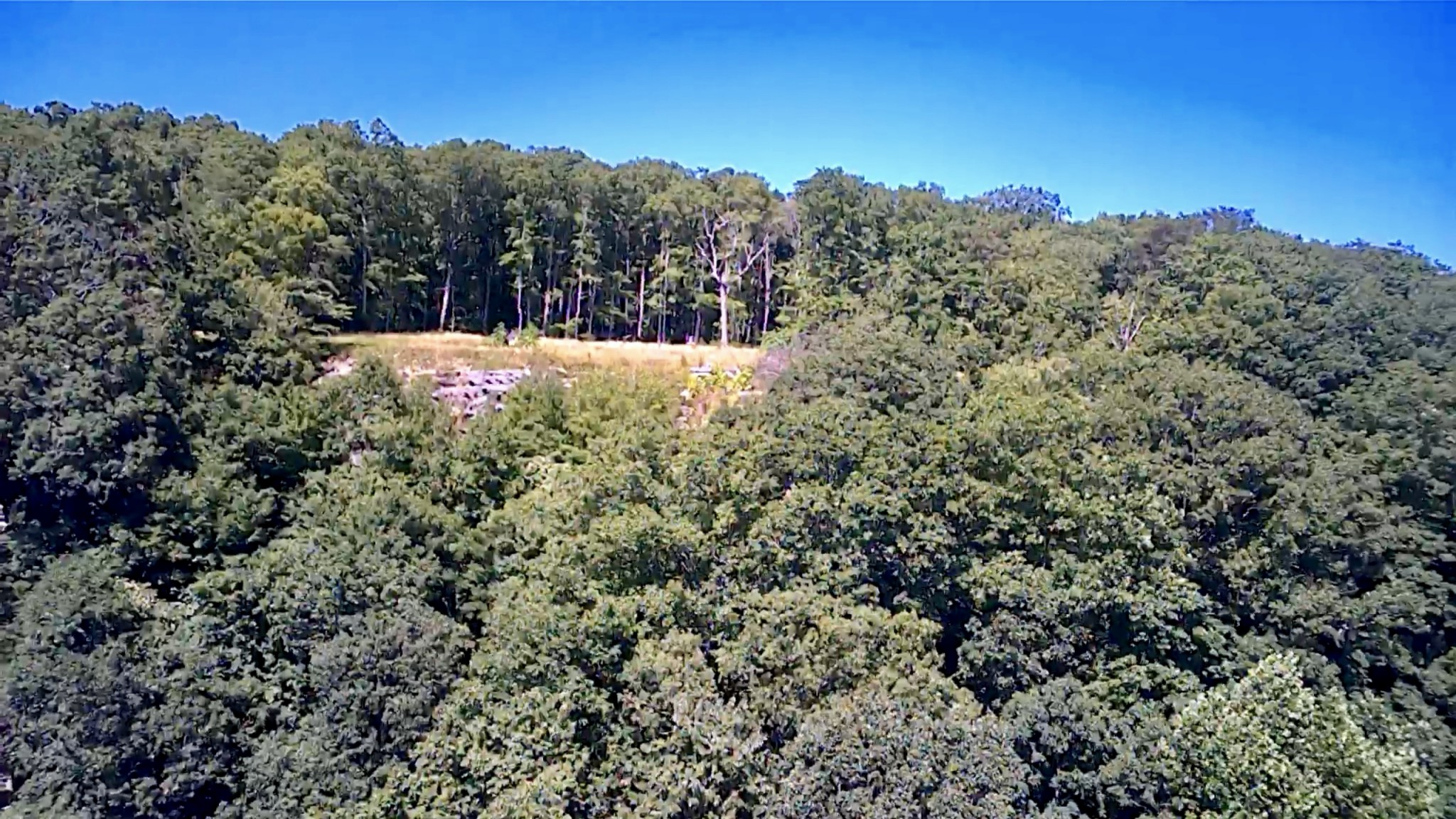 3410 Partin Farm Rd Property Photo 10