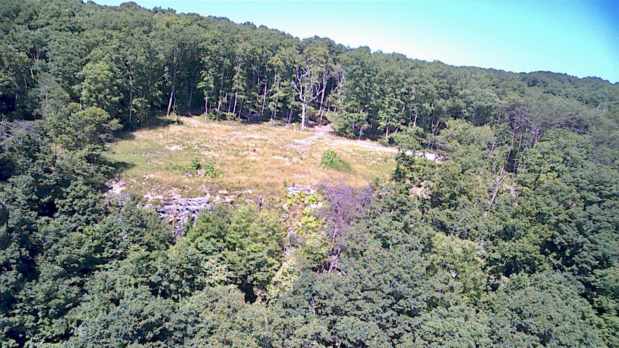 3410 Partin Farm Rd Property Photo 11