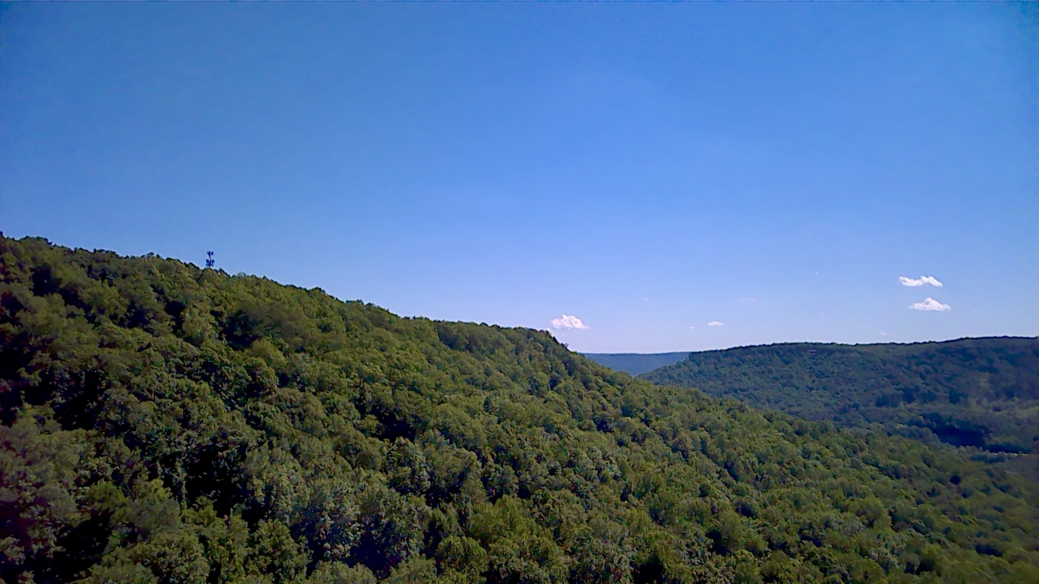 3410 Partin Farm Rd Property Photo 13