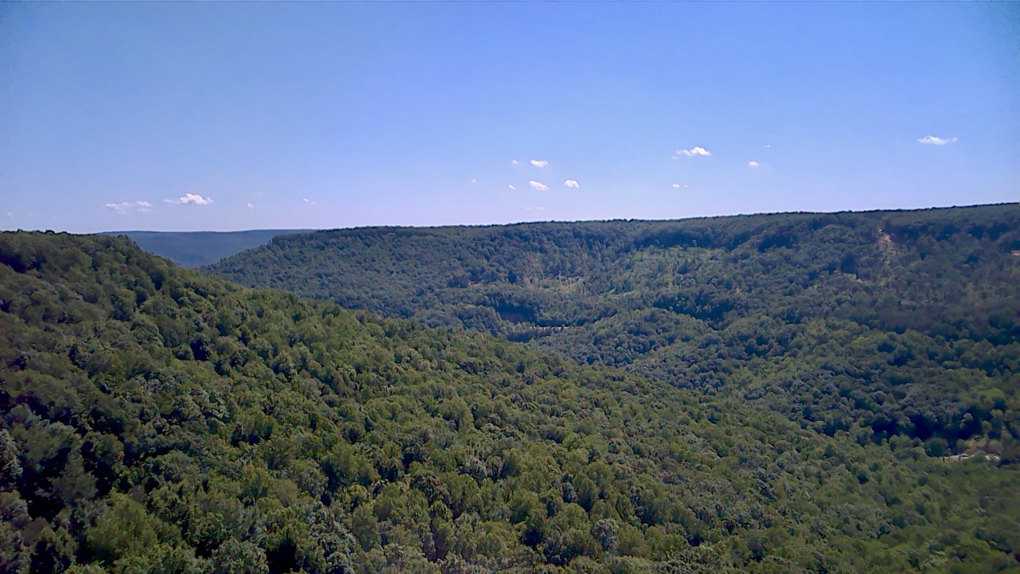 3410 Partin Farm Rd Property Photo 14