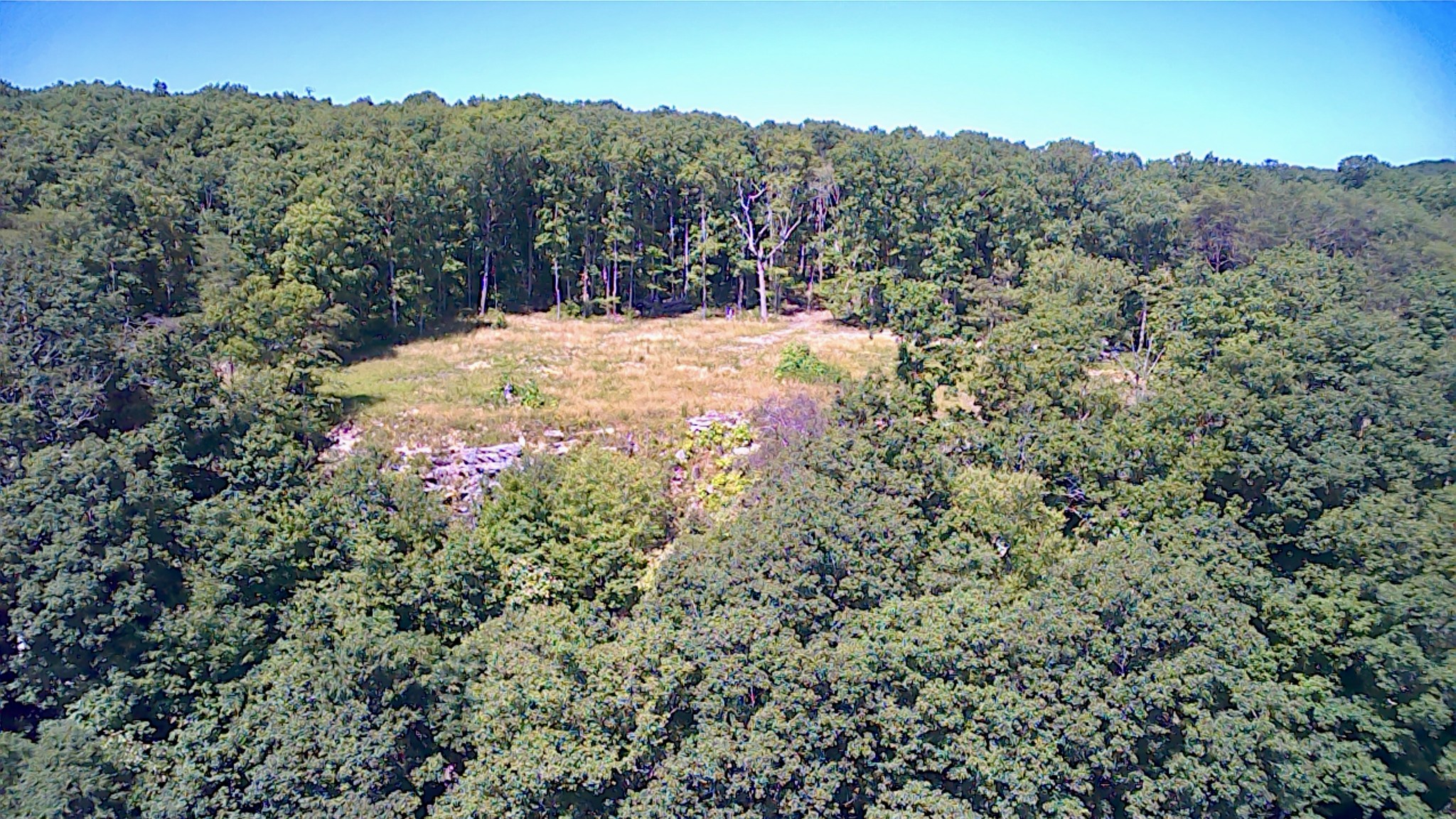 3410 Partin Farm Rd Property Photo 15
