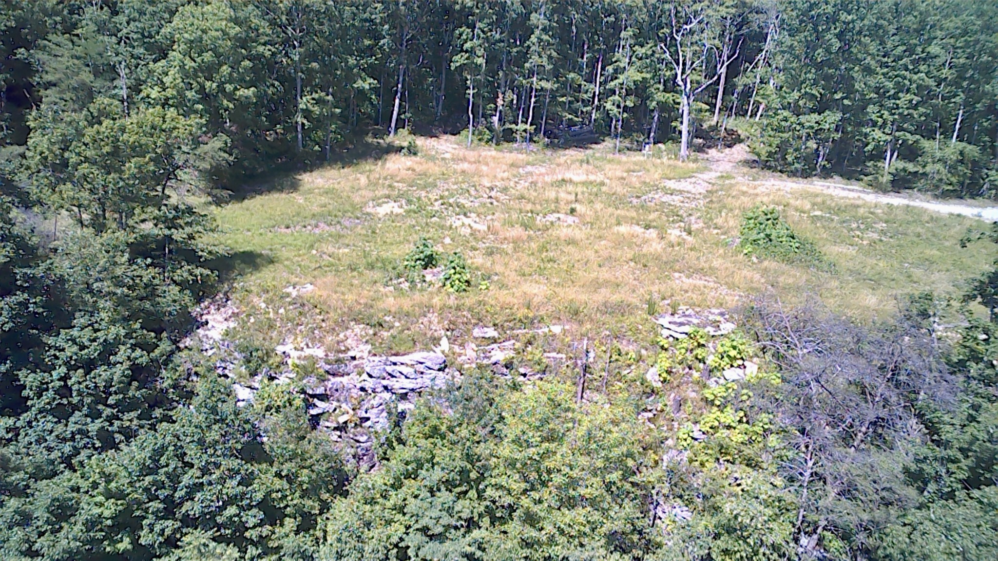 3410 Partin Farm Rd Property Photo 16