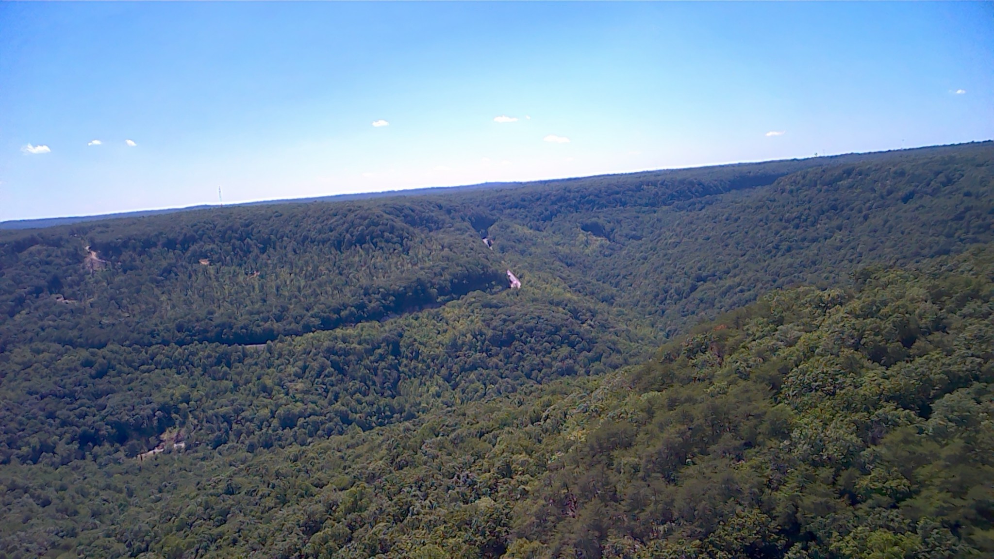 3410 Partin Farm Rd Property Photo 17