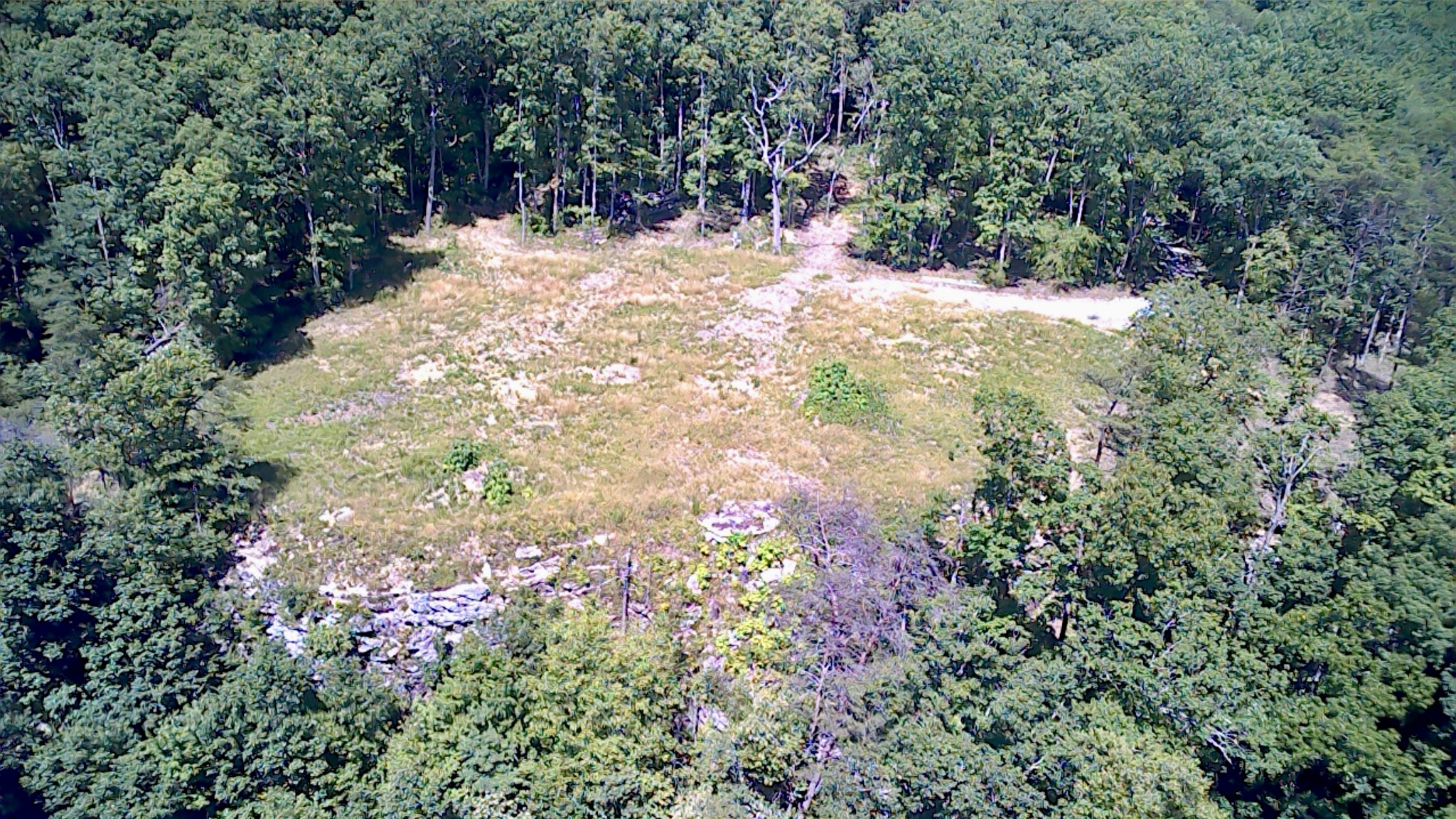 3410 Partin Farm Rd Property Photo 18