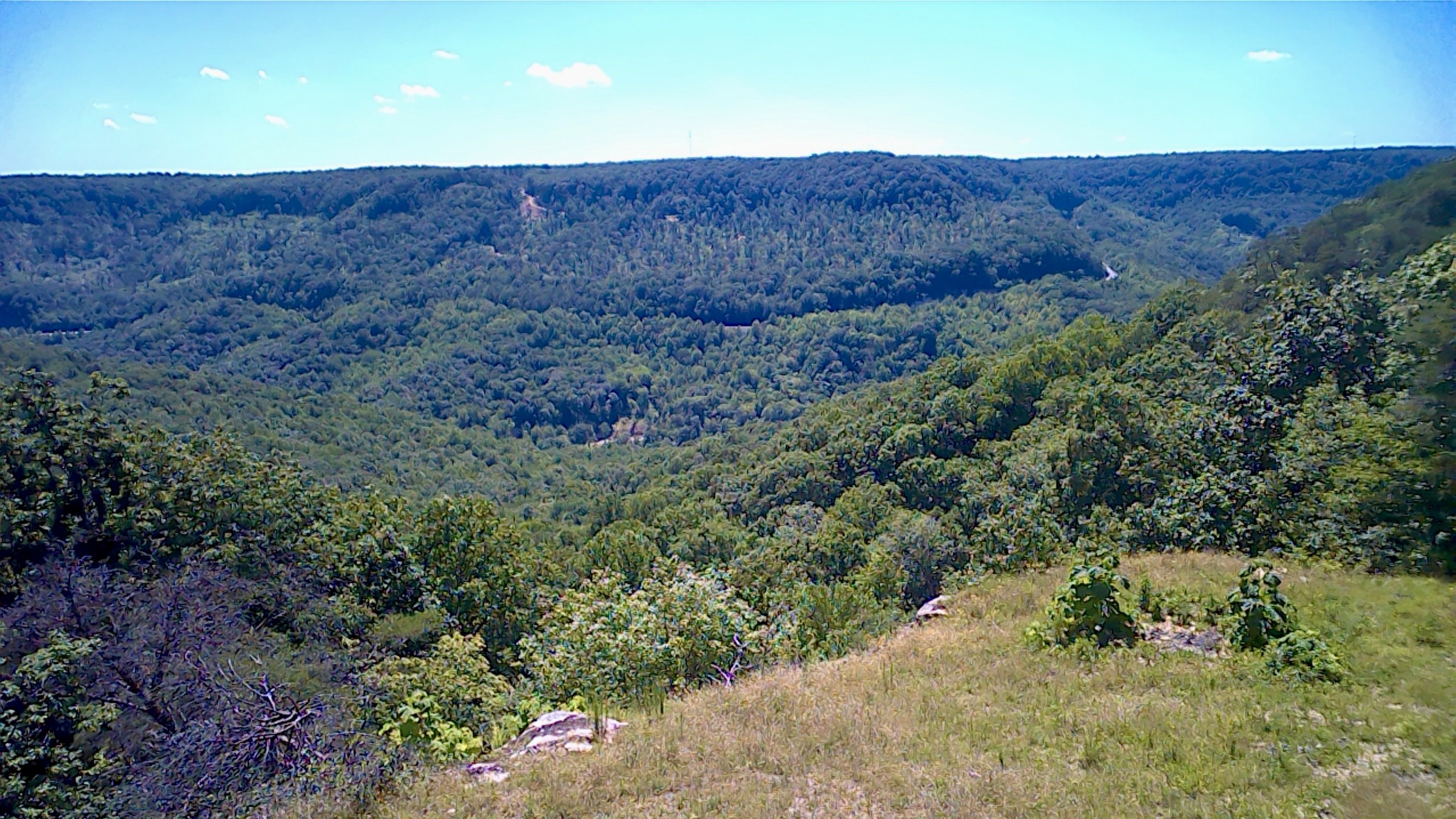 3410 Partin Farm Rd Property Photo 20
