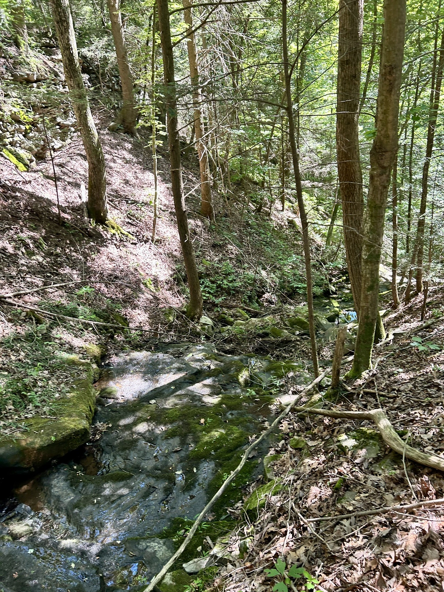 3410 Partin Farm Rd Property Photo 22