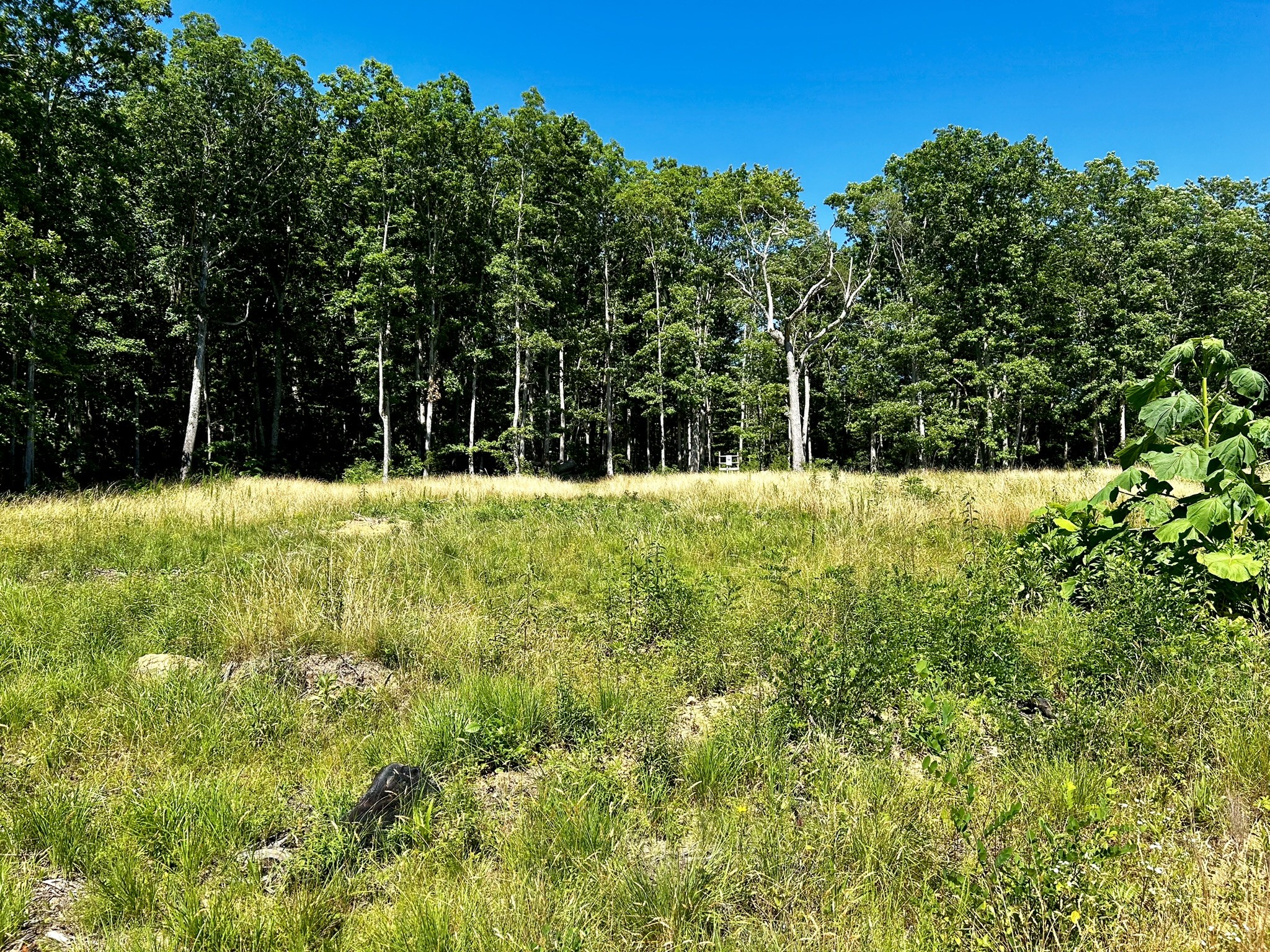 3410 Partin Farm Rd Property Photo 25