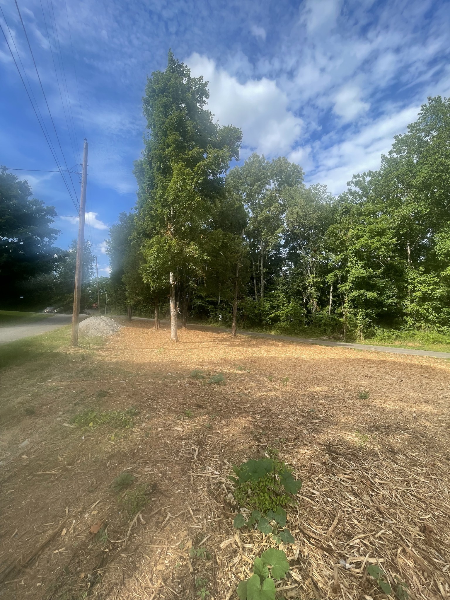0 Stewart Street Property Photo 5