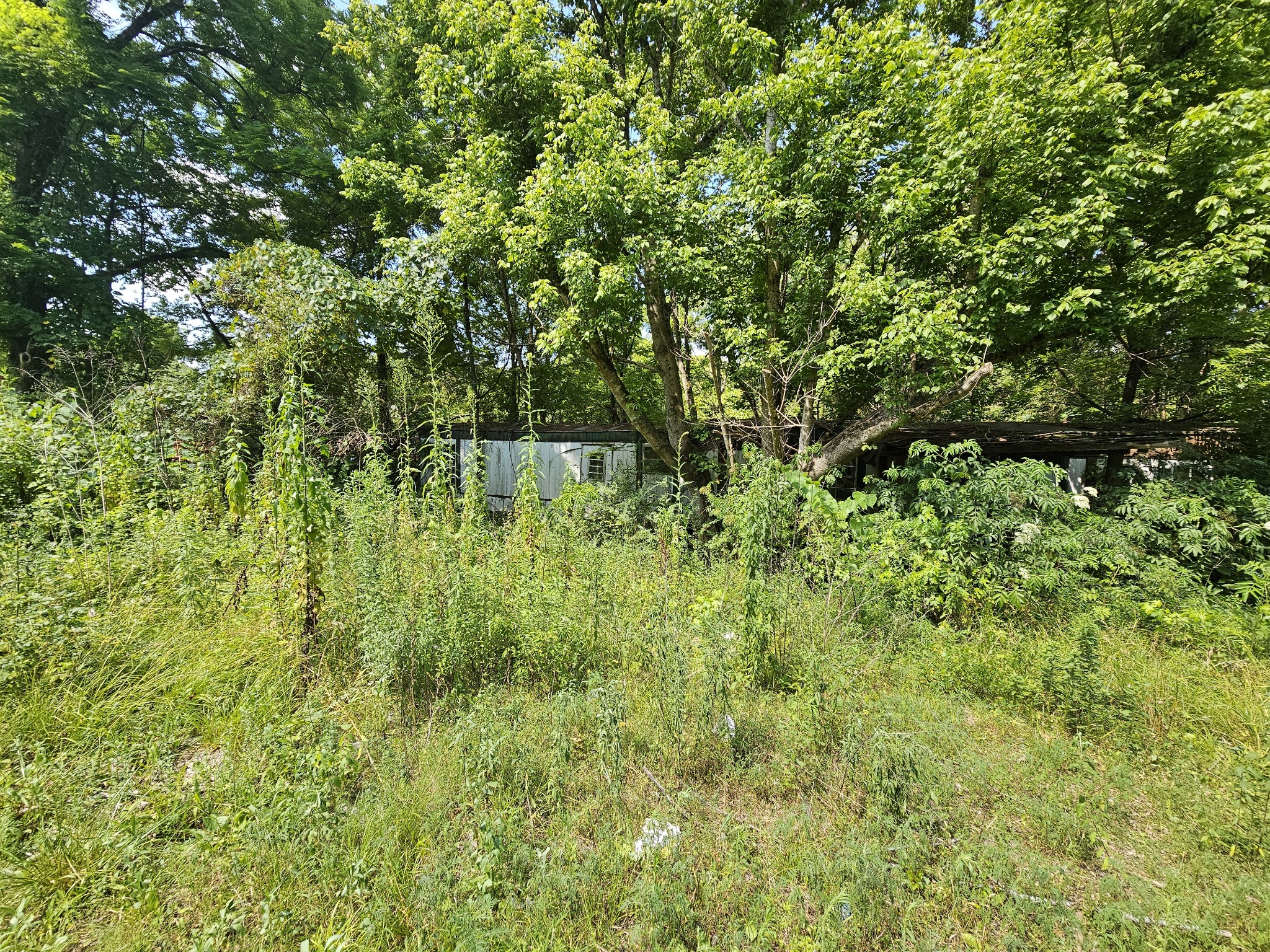 351 Alabama Ave Property Photo 2