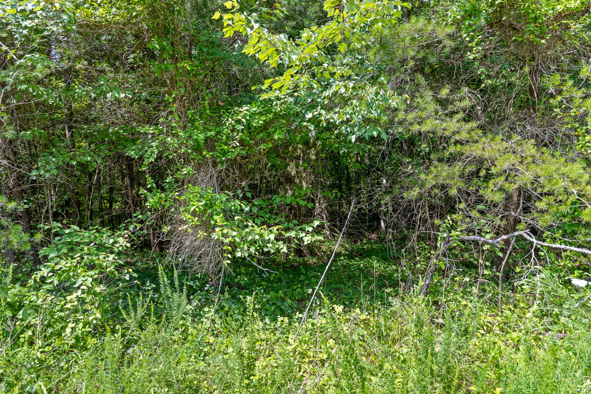 0 Fletcher Rd Property Photo 21