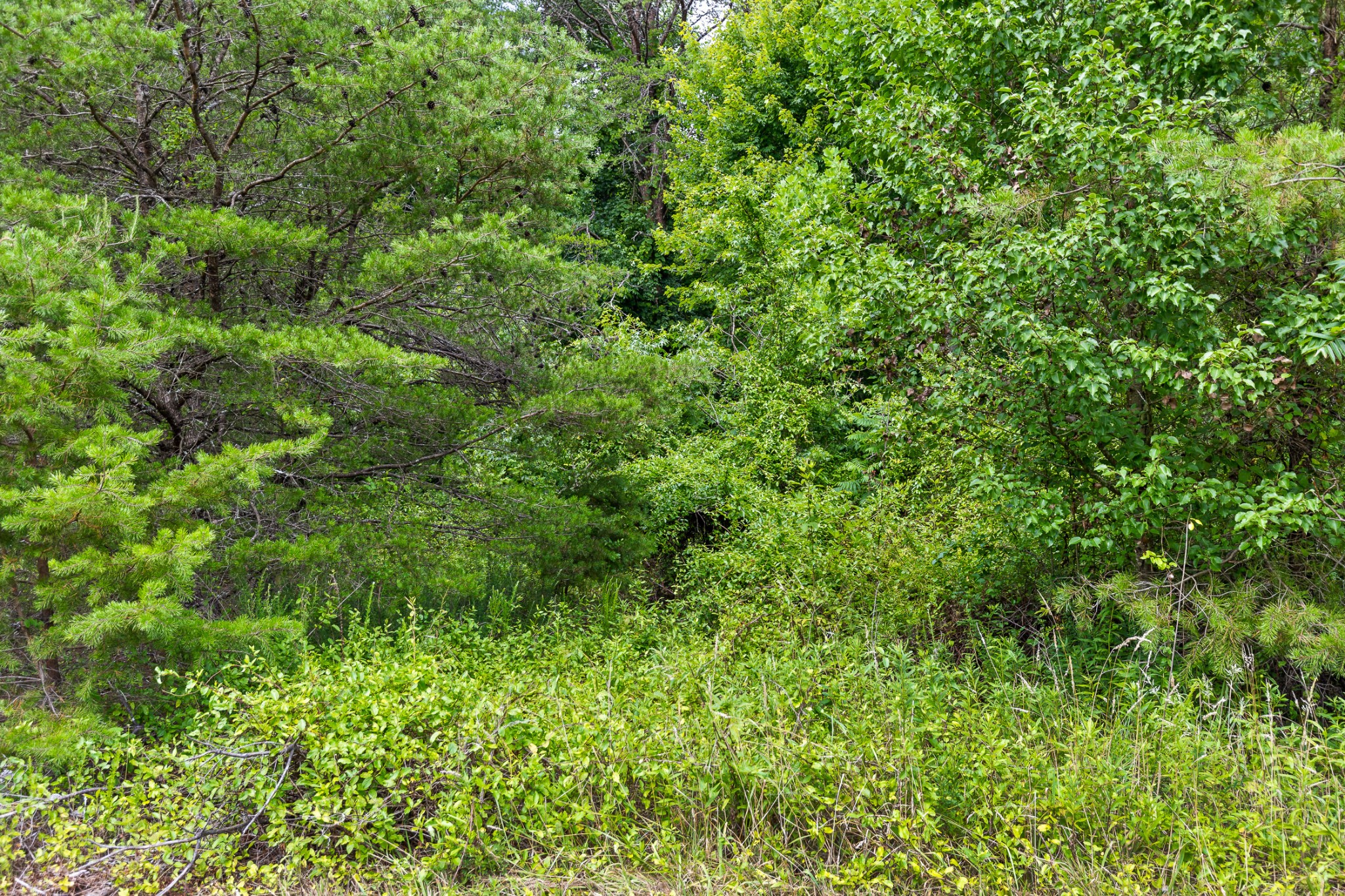 0 Fletcher Rd Property Photo 24