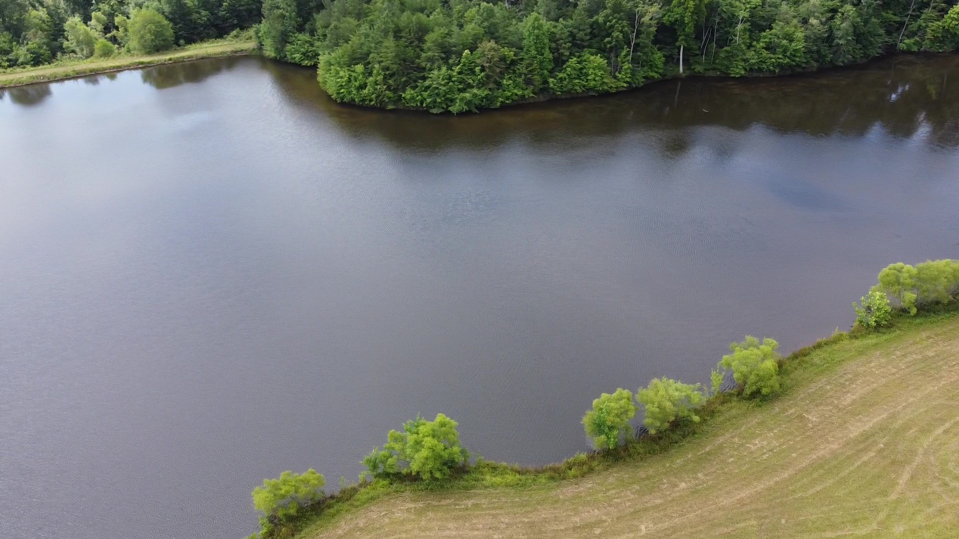 0 Bridle Trail Property Photo 4