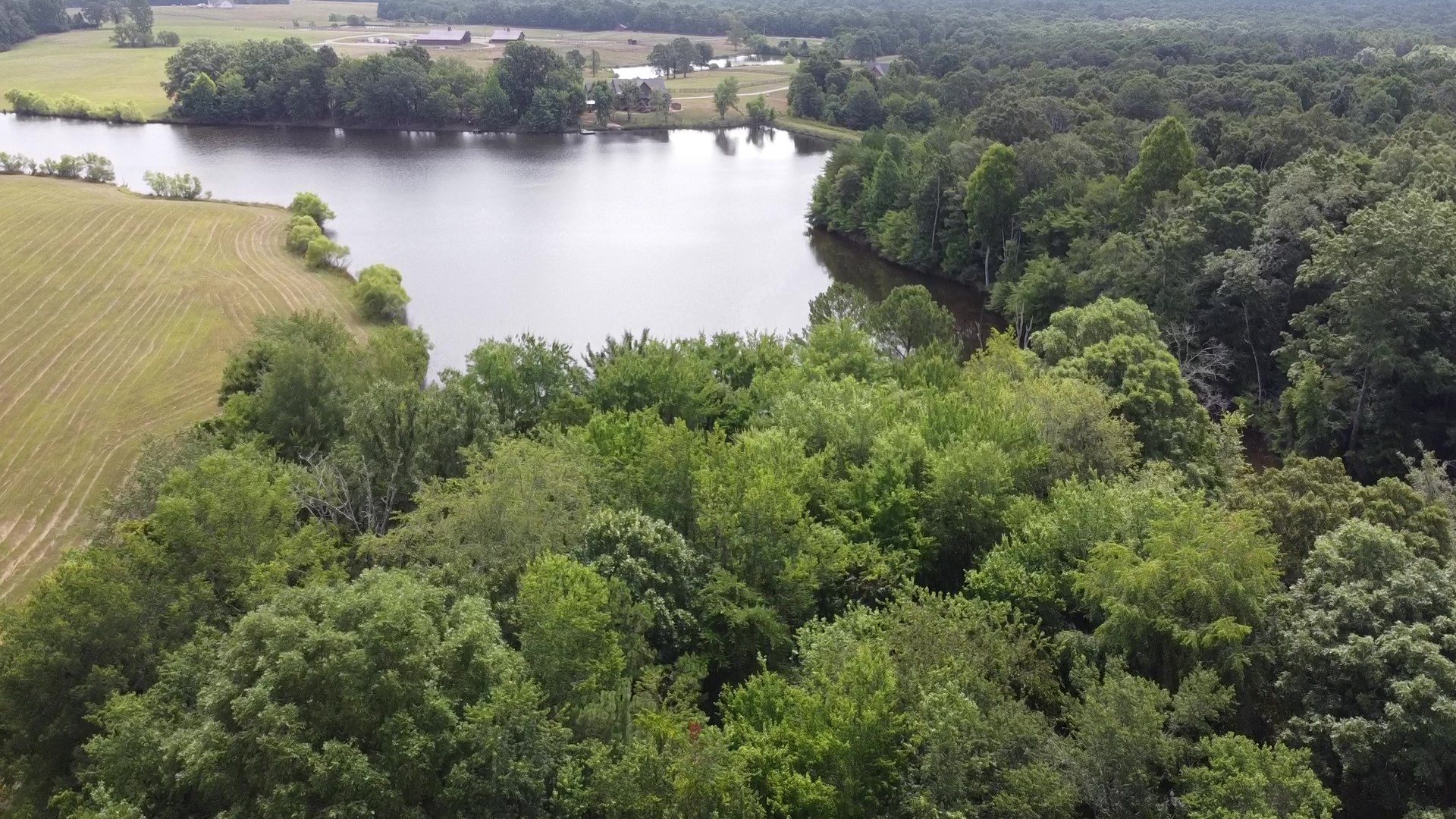 0 Bridle Trail Property Photo 12