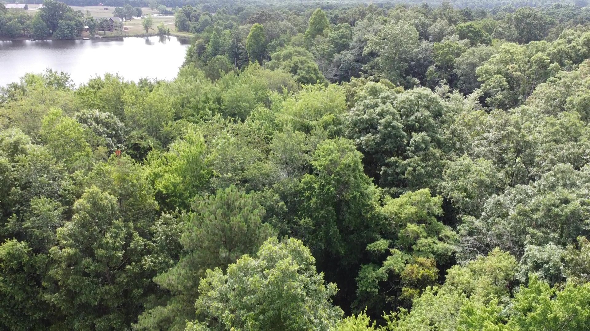 0 Bridle Trail Property Photo 13