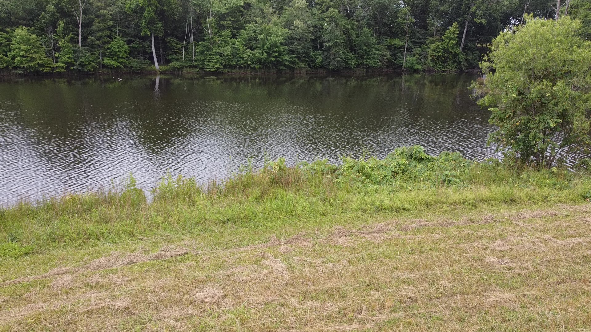 0 Bridle Trail Property Photo 21