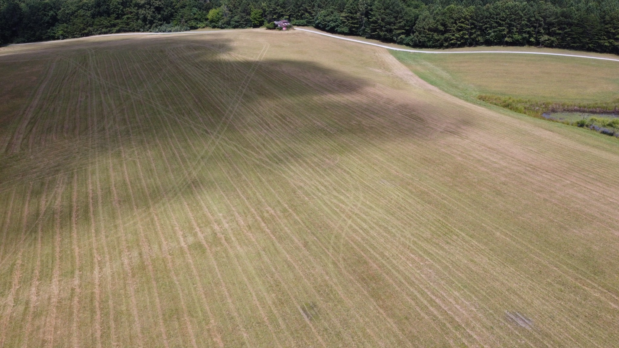 0 Bridle Trail Property Photo 31