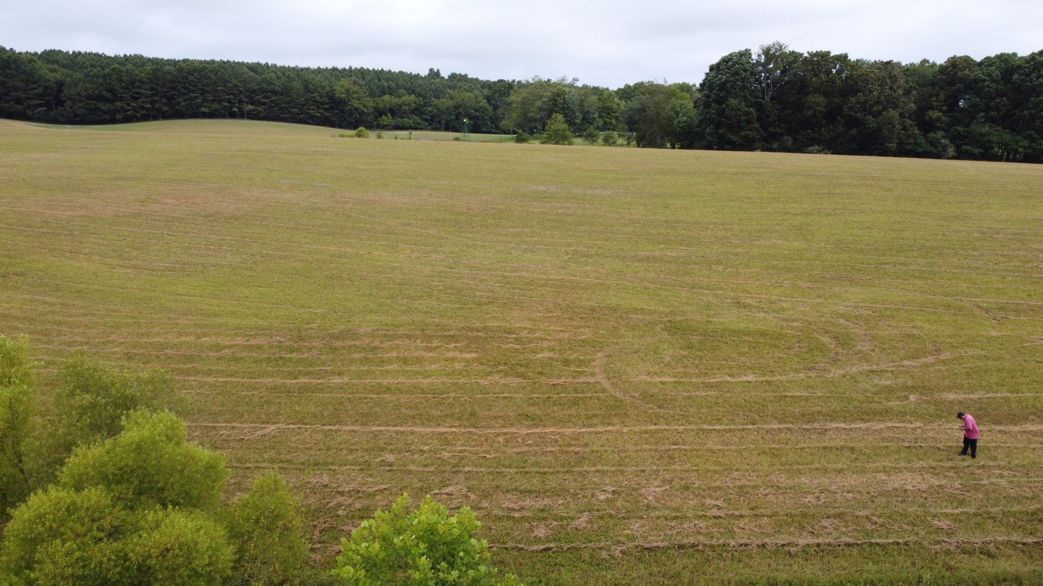 0 Bridle Trail Property Photo 41