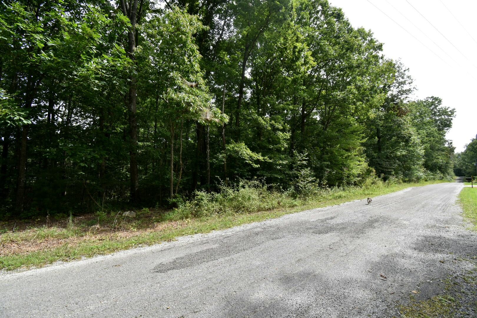 2105 Black Wolf Drive Property Photo 1