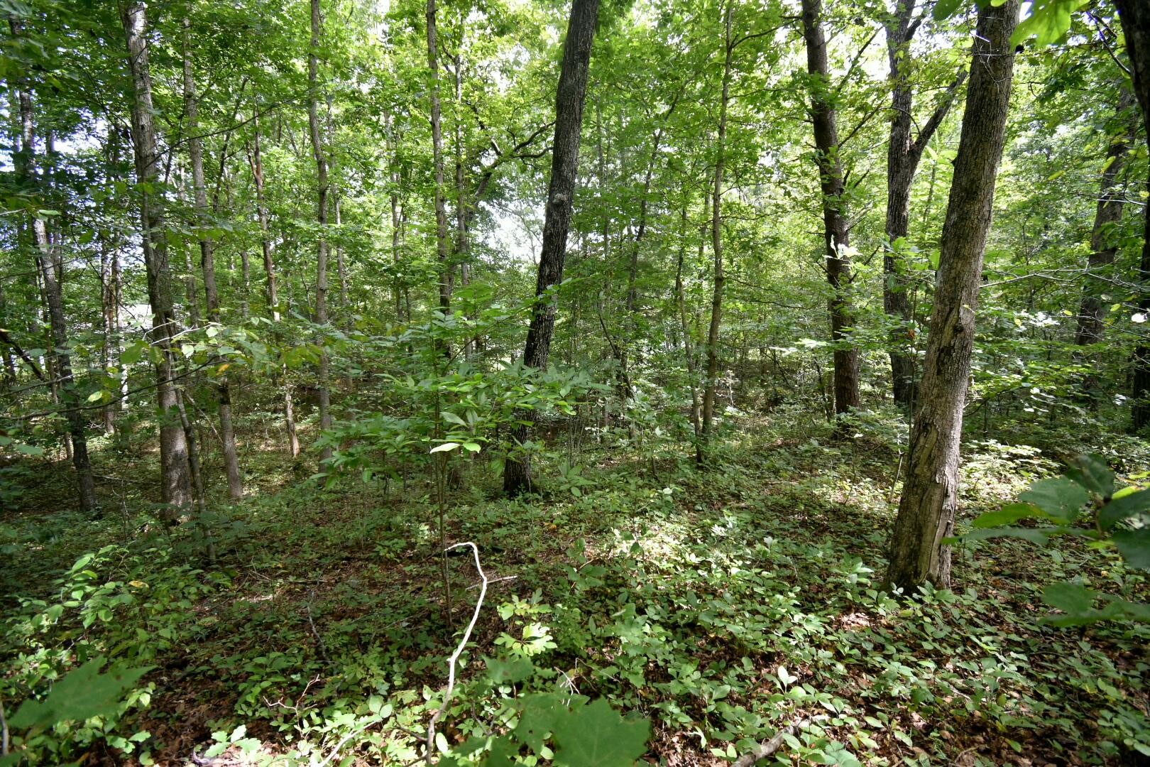 2105 Black Wolf Drive Property Photo 2