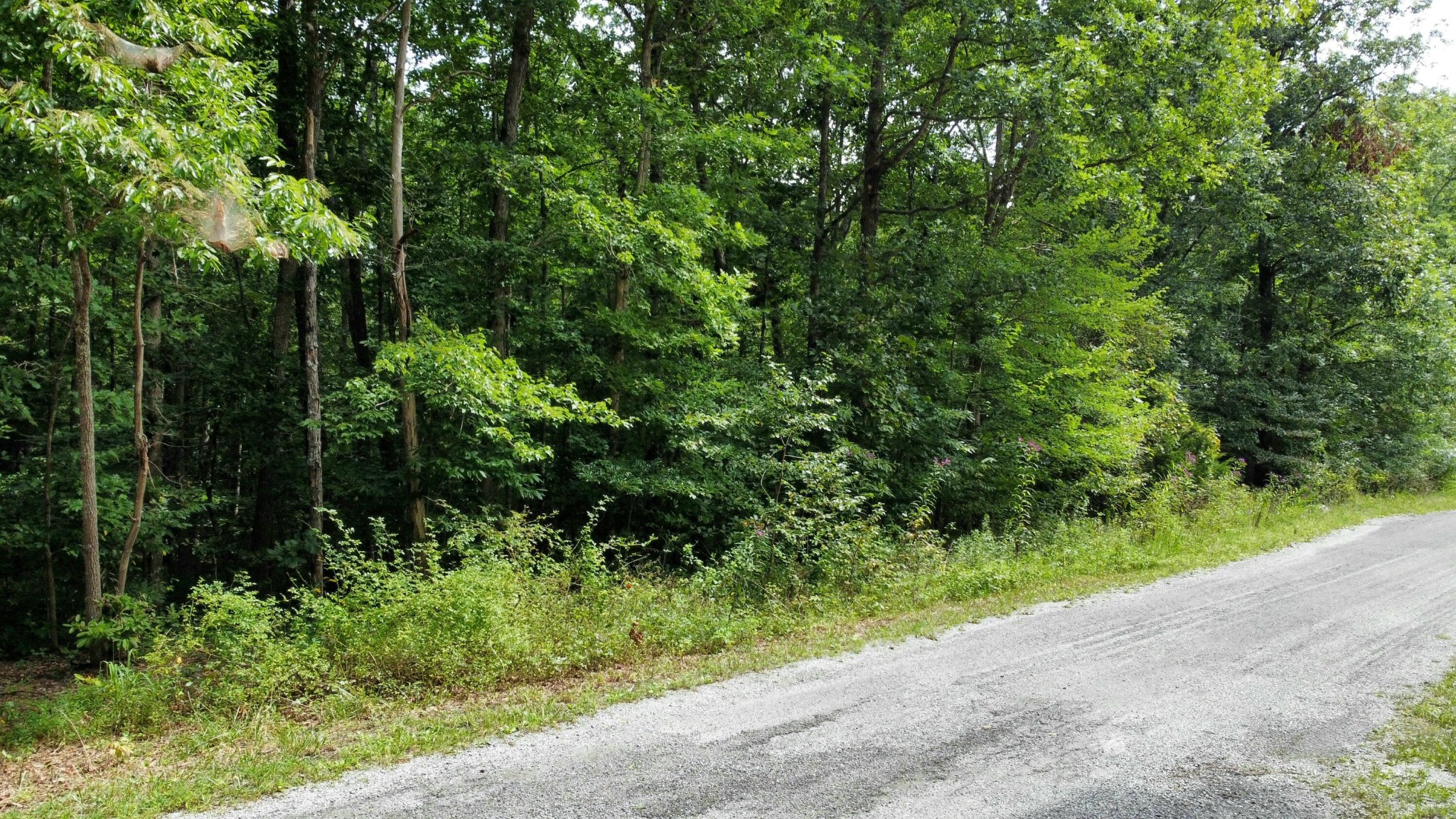 2105 Black Wolf Drive Property Photo 3
