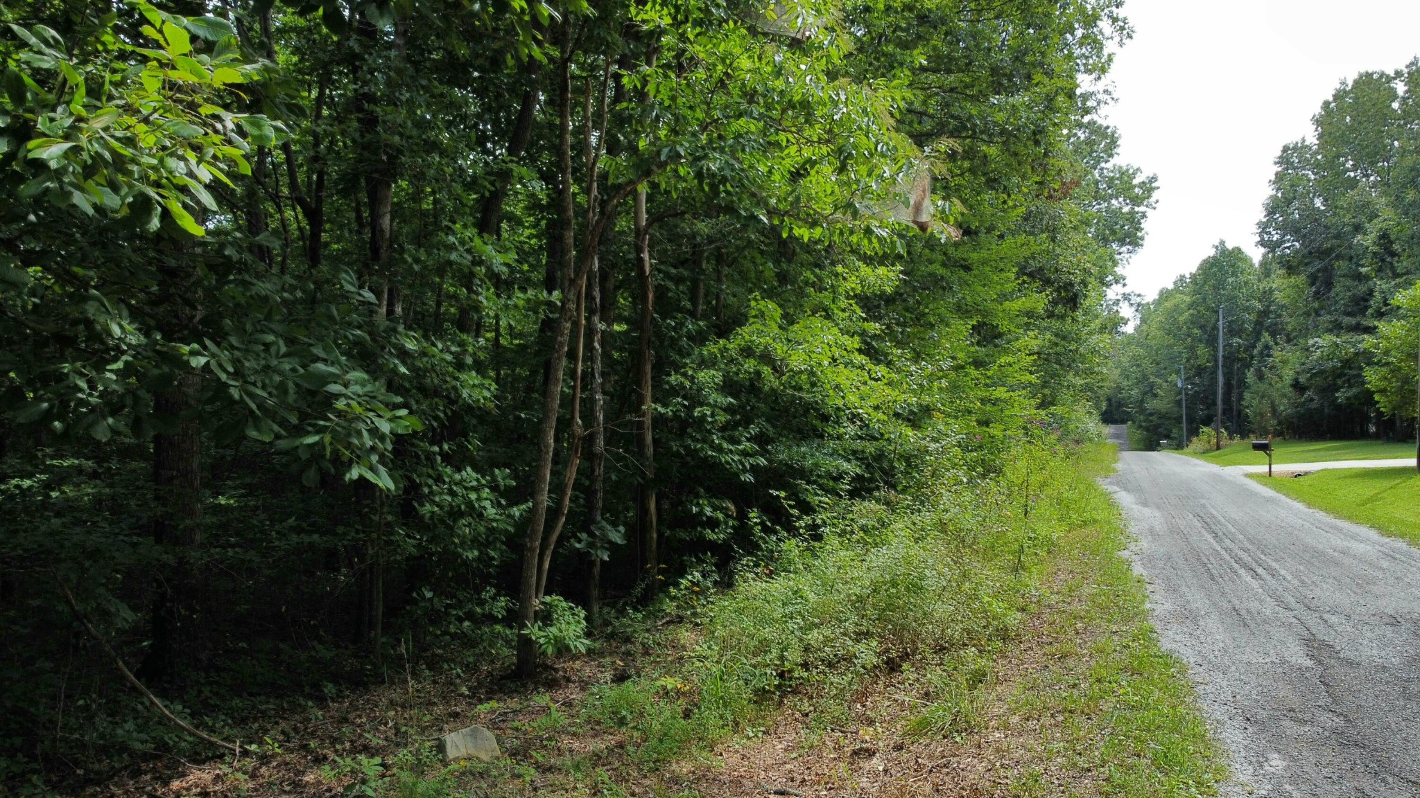 2105 Black Wolf Drive Property Photo 4