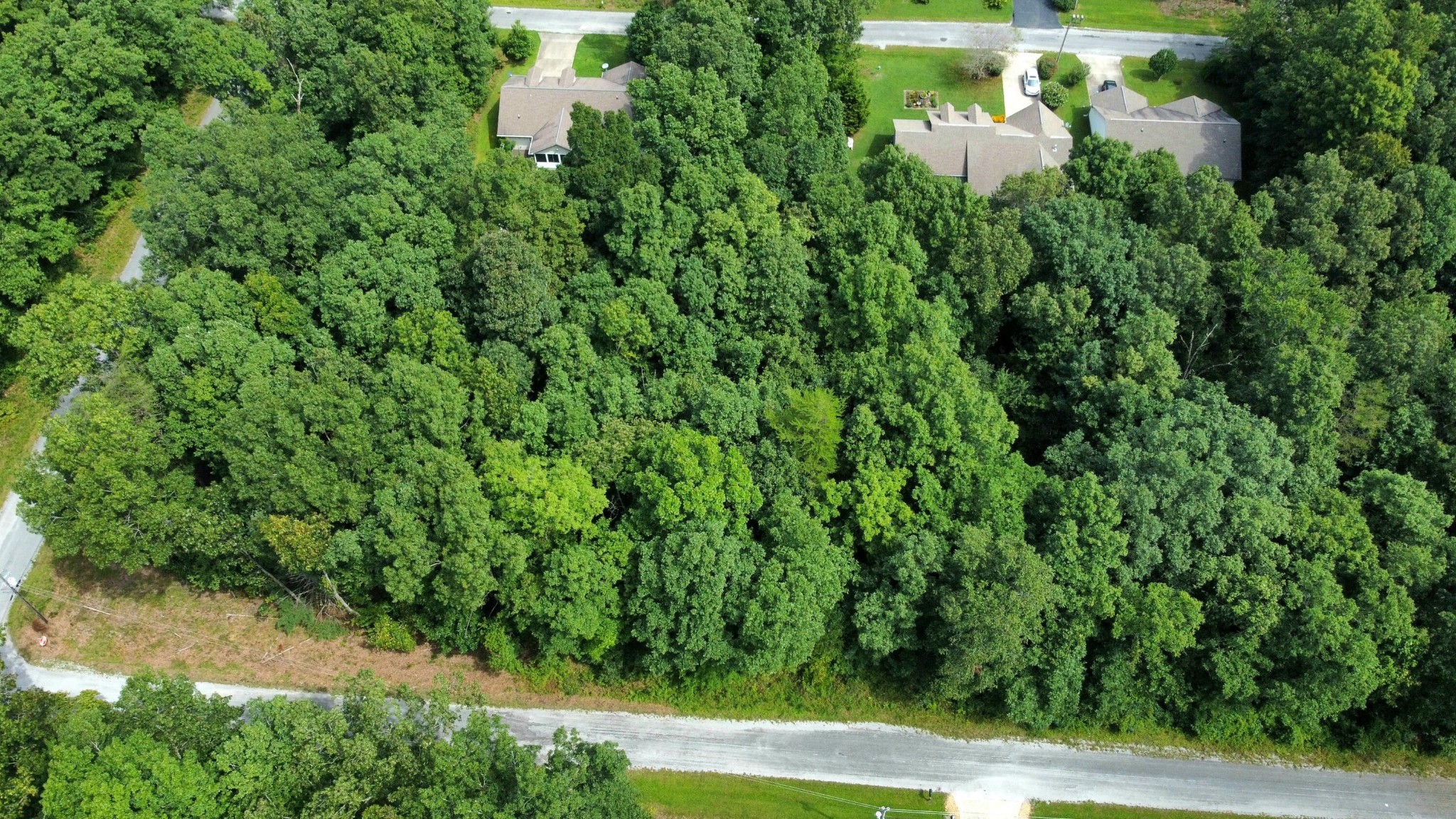 2105 Black Wolf Drive Property Photo 5