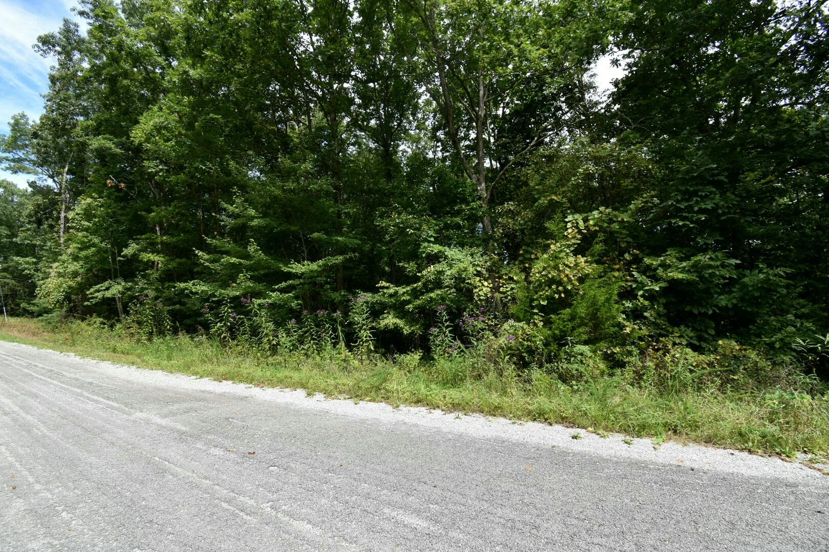 2105 Black Wolf Drive Property Photo 6