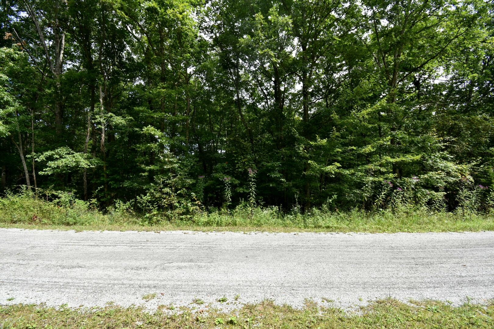 2105 Black Wolf Drive Property Photo 7
